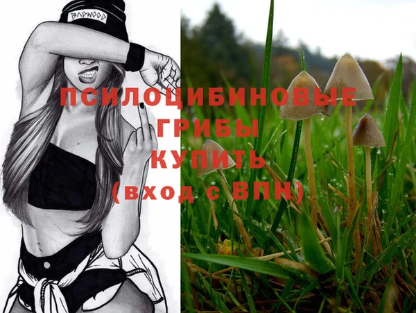 прущий лед Михайлов