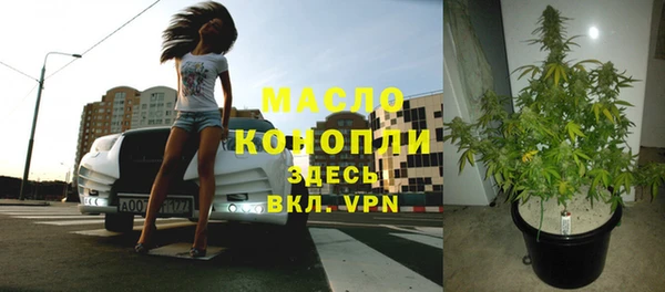 прущий лед Михайлов